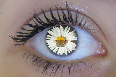 Eye