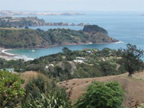 Palm Beach on Waiheke