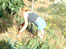 Sue in the garden