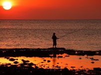 Lovina sunset