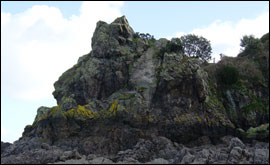 Geoffrey's Leap