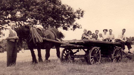 Rural scene of horse and cart with people sitting on it (Image provided by Barbara Carr)
