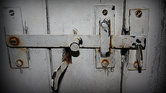 Cellar Door