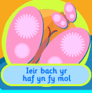 Cân Ieir bach yr haf yn fy mol