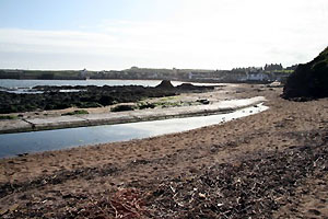 Eyemouth Harbour