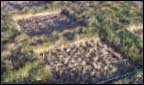 birds eye view of field