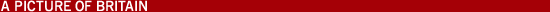 A Picture of Britain
