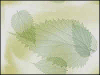nature background