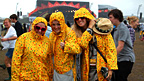 Reading festival