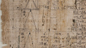 Rhind Mathematical Papyrus