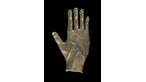 Arabian bronze hand