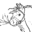 Horse.