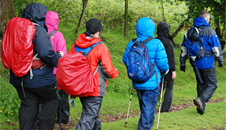 Track leading to Coed y Bedw