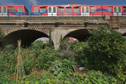 Cable Street Gardens - photographer: James Potter ©