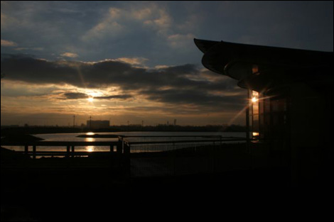Saltholme in the evening sunset