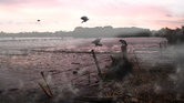 Marsh Crows