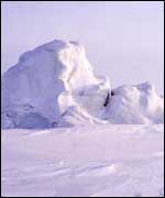 Arctic scene
