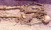 Human remains
