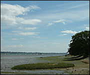 The Exe estuary