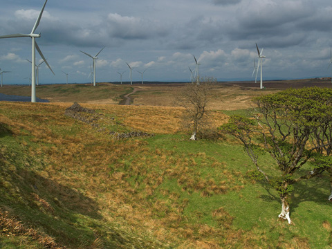 Colour view of Whitelee Windfarm on Eaglesham Moor. In the foreground stands a small group of bare trees and the low ruins of a croft or other stone building. A large number of wind turbines dominate the skyline beyond.