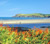 Trefdraeth © BCC