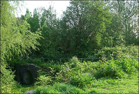 Thimblemill Brook