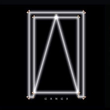 Review of Gangs
