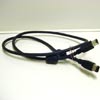 Firewire
