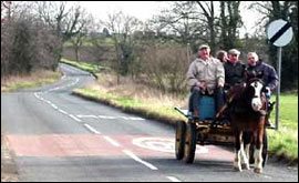 Horse and Cart