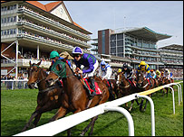 Horses racing at York Racecourse