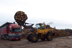 Loading Logs
