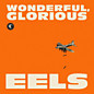 Review of Wonderful, Glorious