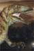 Earthworld book thumbnail