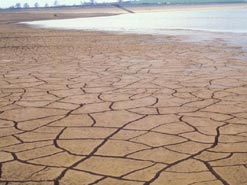 drought