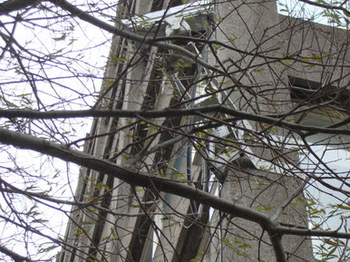CCTV Tree