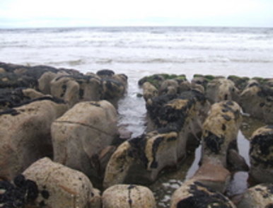 Clashach Cove
