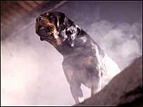 TV shot of Hound of the Baskervilles