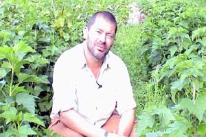 From Devon to Iceland with six Land Rovers and a teacher called David...