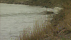 River Severn