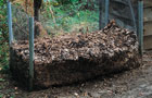 Leafmould bin