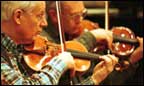 violins
