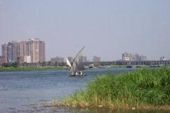 A felucca on the River Nile