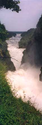 Murchison's Falls on the River Nile