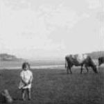 Some of Jenny's photos of France before the War that were sent to the War Office.