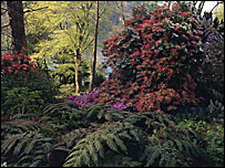 The gardens at Greenway