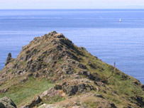 Cornish Landscape by Frances Watts