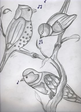 Birds