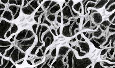 Maze - illustration by John Rushton