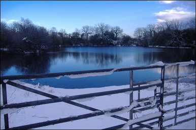 Winter Wonderland