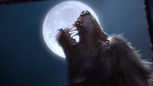 Howling at the Moon!